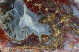 Polished Smugglers Moss Agate Section - Mexico #150608-1